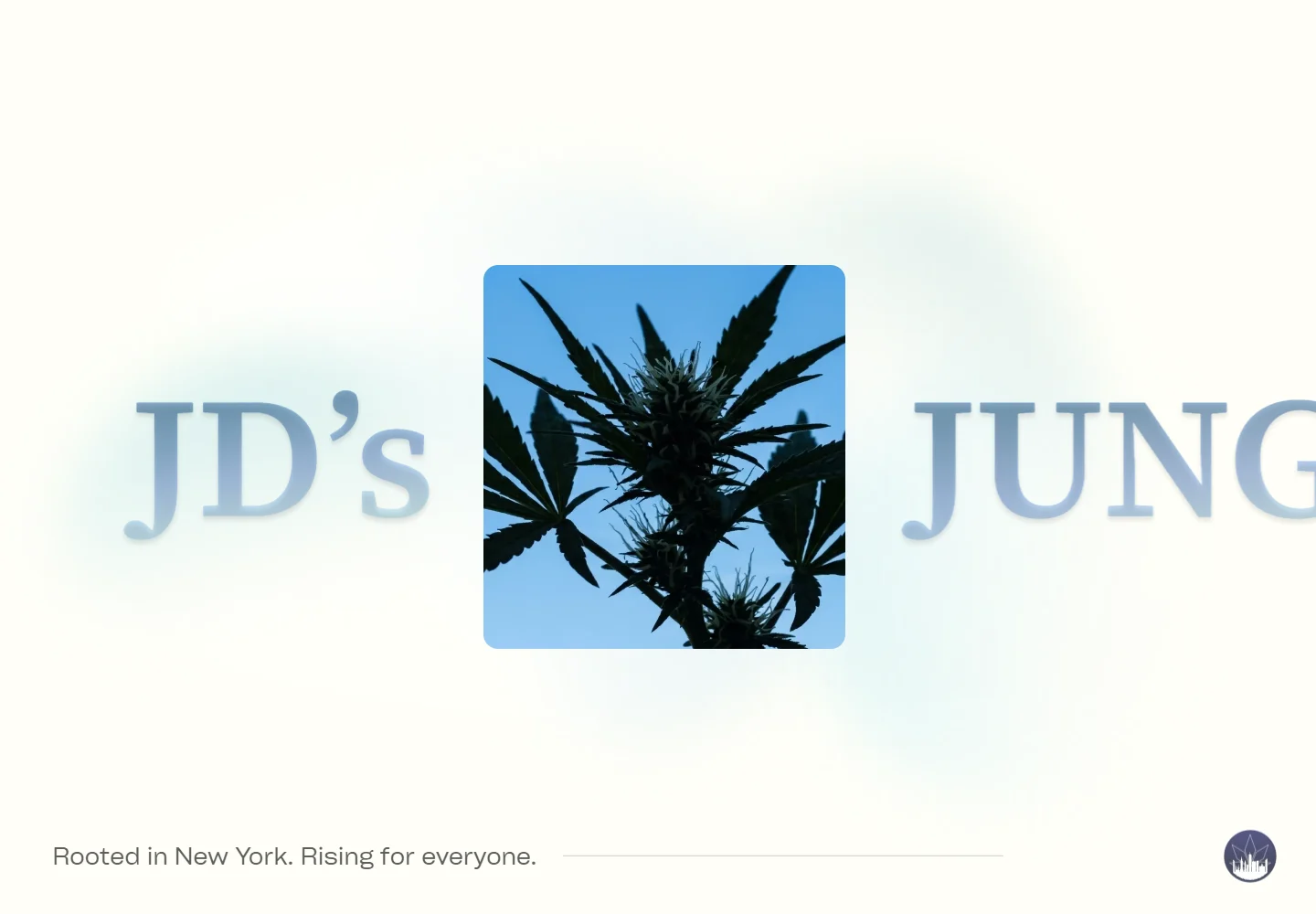 JD'S Jungle About page with oversized typography and layered imagery, desktop view